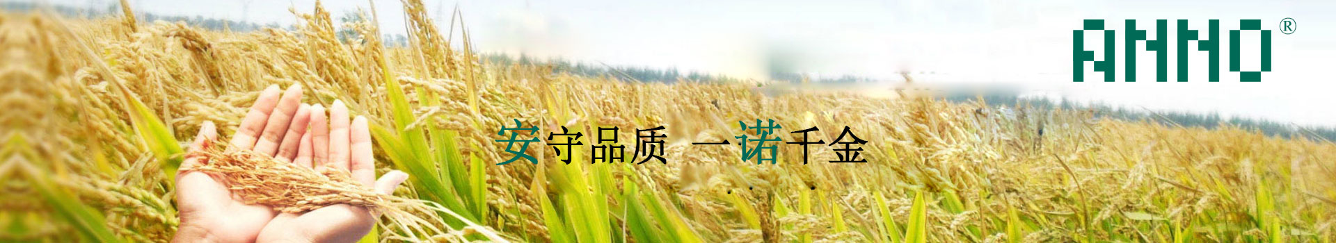 植物生长都需要哪些营养元素？